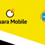 Brunei 1 GB - 7 days